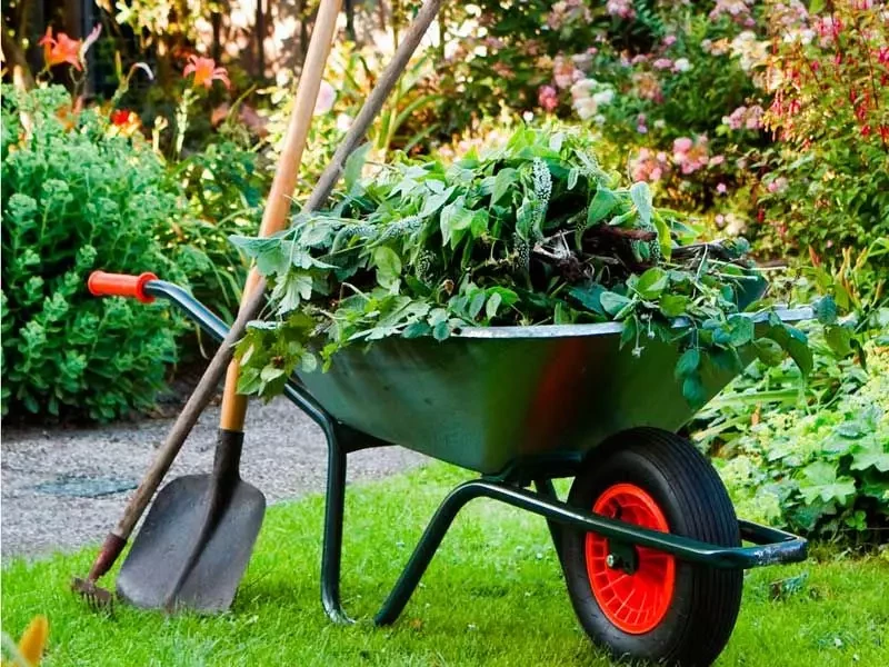 Landscaping and Garden Maintenance services