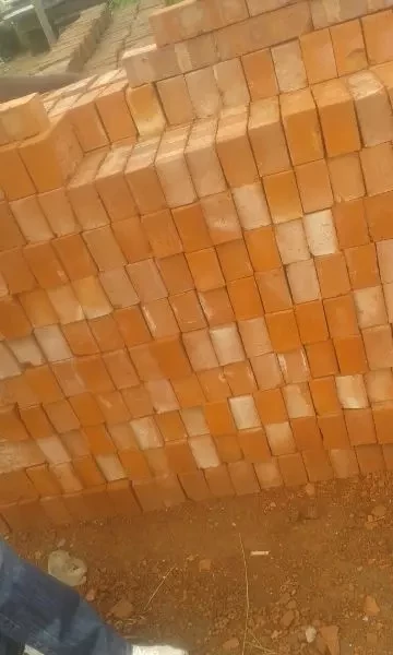 Common Bricks