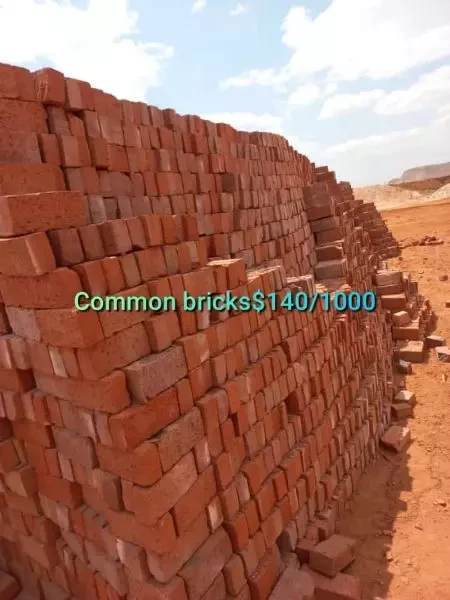 Common Bricks