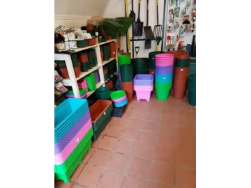 Coloured pots