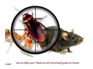 Rodents extermination