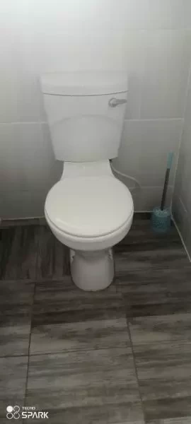 Toilet Seat