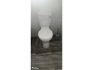 Toilet Seat