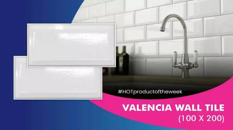 Valencia Wall Tile (100x200)