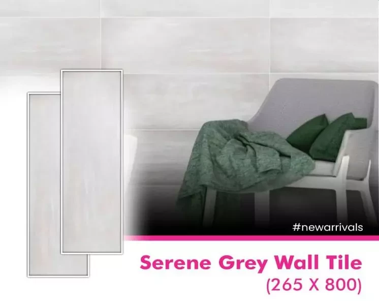 Serene grey Wall Tiles (265x800)