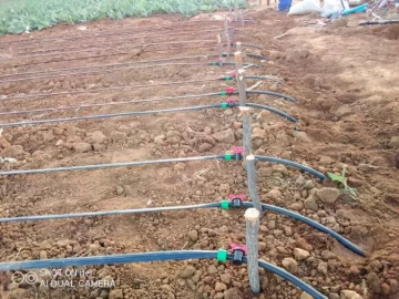 Drip irrigation system