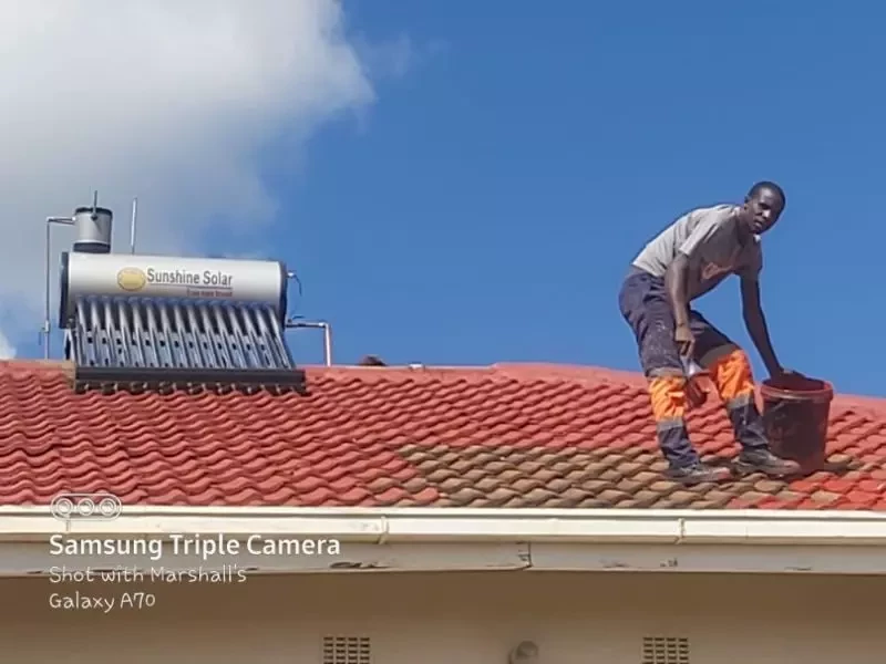 Roof painting and gutters