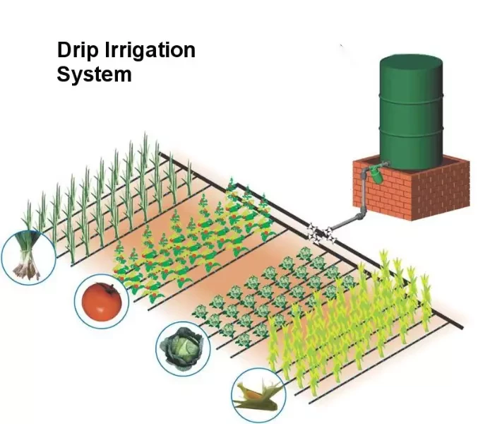 Irrigation solutions - drip, sprinklers, solar