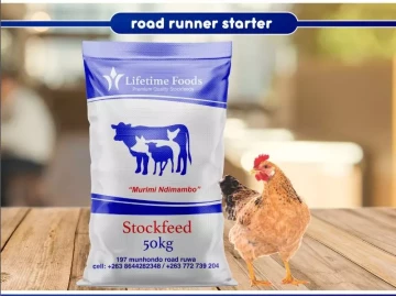 Roadrunner starter