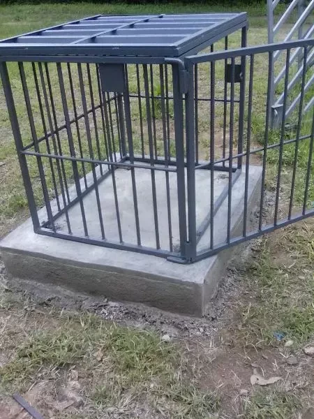 Generator cage