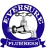 Eversure Pvt Ltd Logo