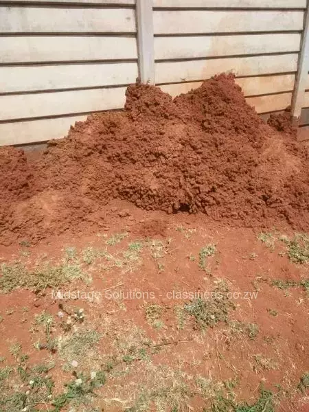 Ant hill and ants control services