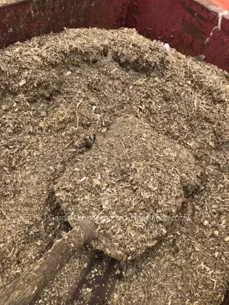 Chicken manure