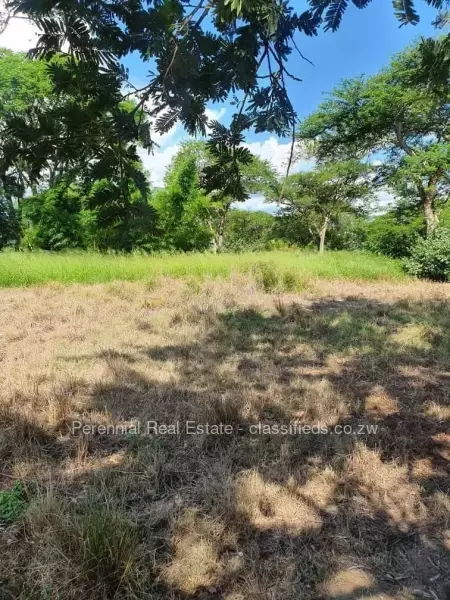 Gutu - Farm & Agricultural Land