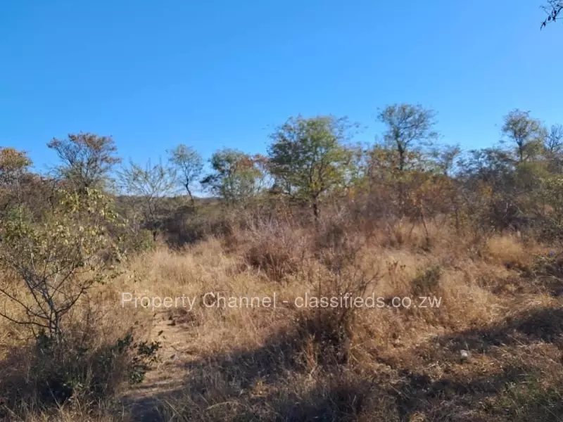 Gwanda - Land, Stands & Residential Land