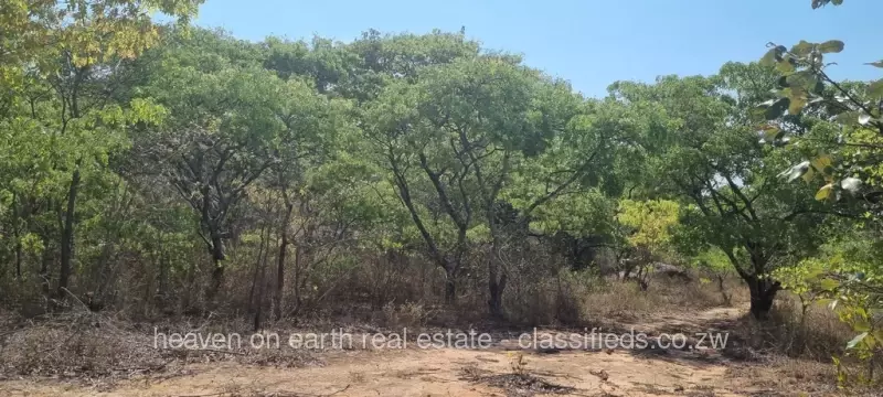 Masvingo - Farm & Agricultural Land