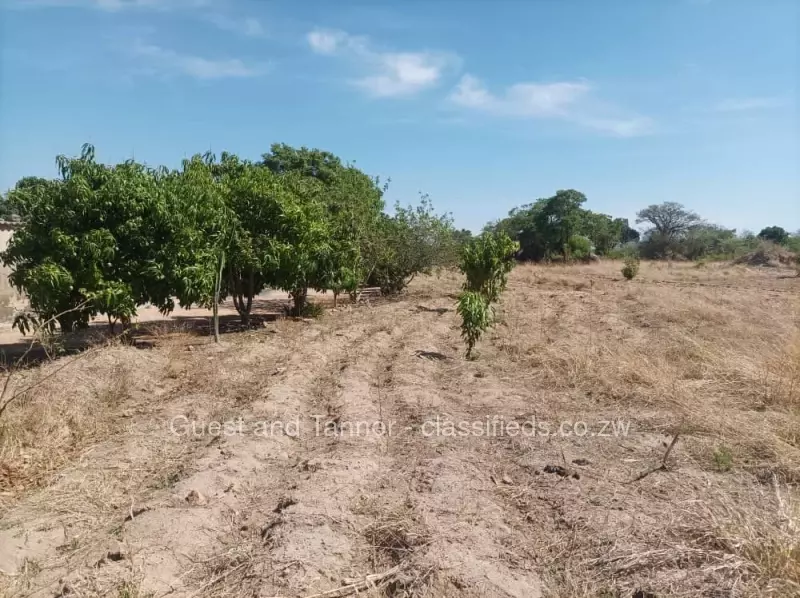 Chegutu - Land, Farm & Agricultural Land In Zimbabwe | classifieds.co.zw