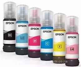 Epson 673 ink series