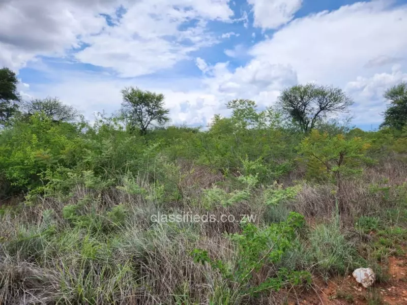 Umguza - Land, Farm & Agricultural Land