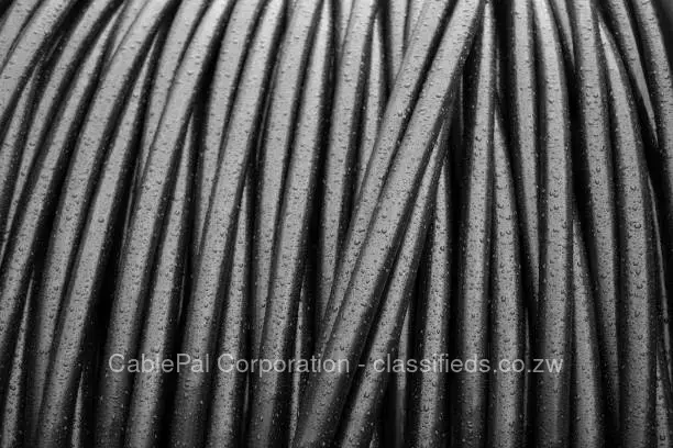 16mm 2Core Armoured Cable