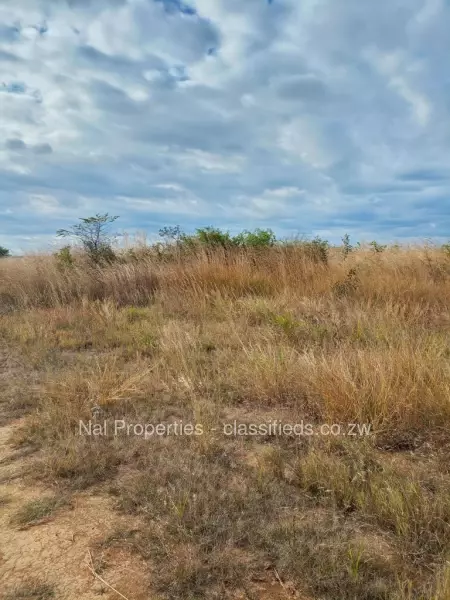 Zimre Park - Stands & Residential Land