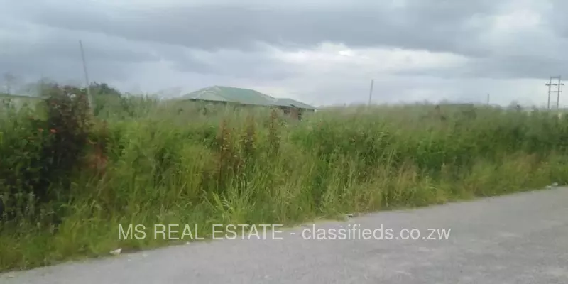 Glaudina - Stands & Residential Land