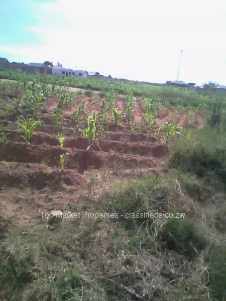 Bindura - Land, Stands & Residential Land