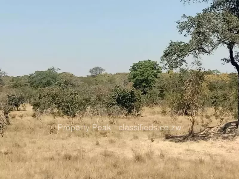 Chegutu - Stands & Residential Land