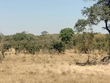 Chegutu - Stands & Residential Land