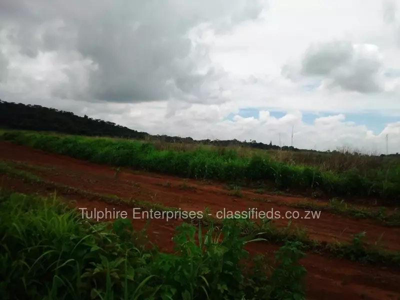 Crowhill Views - Stands & Residential Land