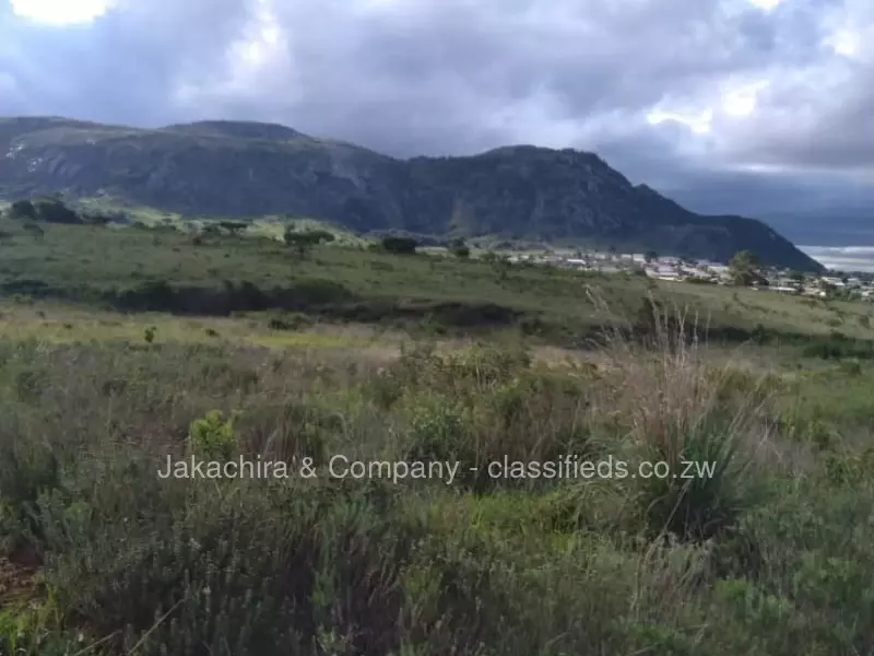 Nyanga - Stands & Residential Land