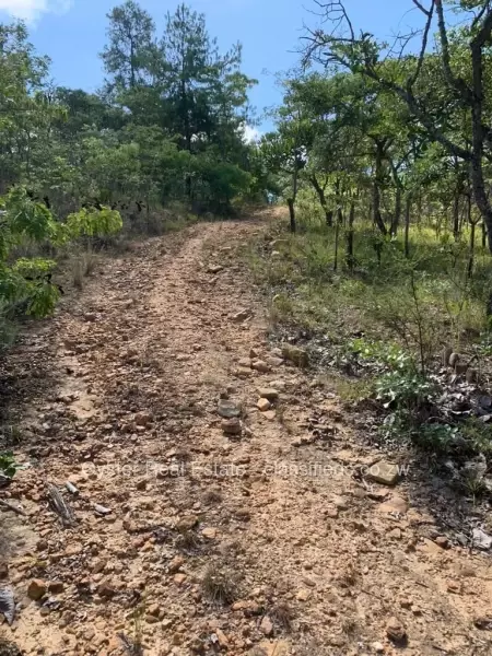 Nyanga - Farm & Agricultural Land