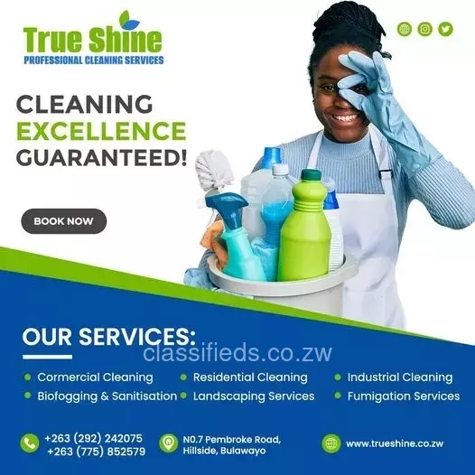 PROFESSIONAL CLEANING SERVICES