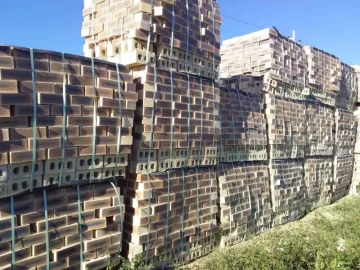 Botswana Face Bricks