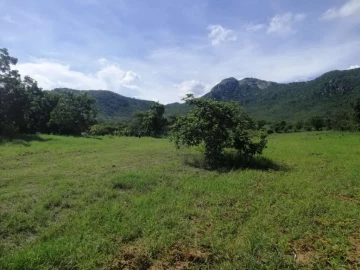 Mutare CBD - Stands & Residential Land