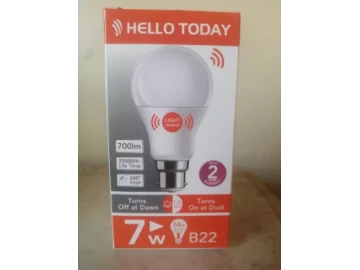 Day & Night Sensor Light Bulbs