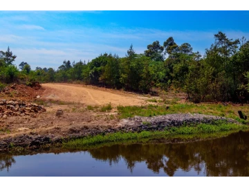 Nyanga - Stands & Residential Land