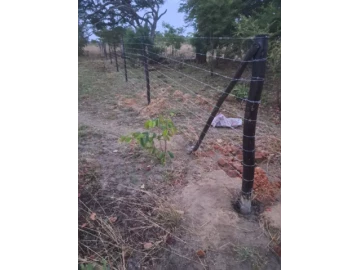 Barbed wire