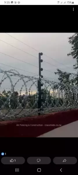 Razor wire