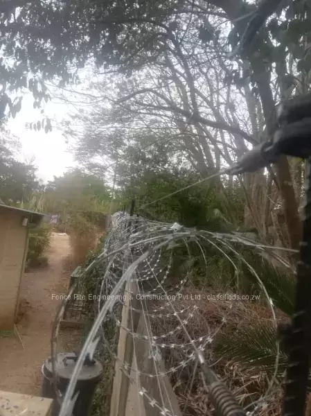 Combined Electric Razor Wire