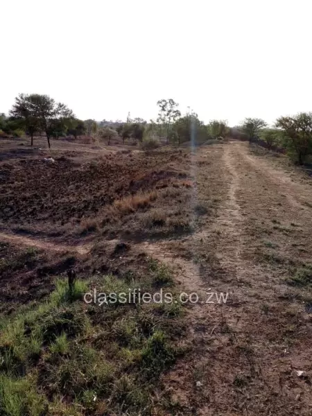 Buena Vista - Land, Stands & Residential Land