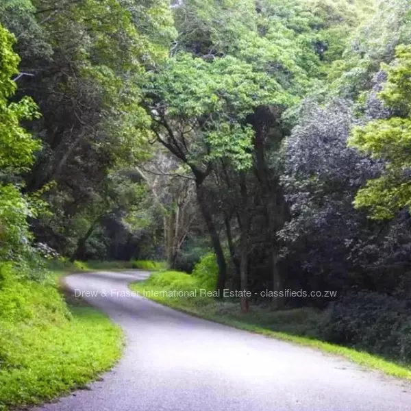 Vumba - Farm & Agricultural Land, Land