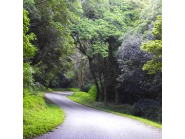 Vumba - Farm & Agricultural Land, Land