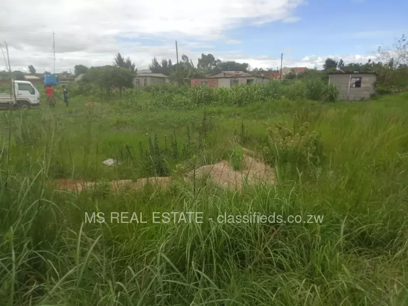 Whitecliff - Stands & Residential Land