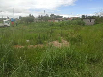 Whitecliff - Stands & Residential Land