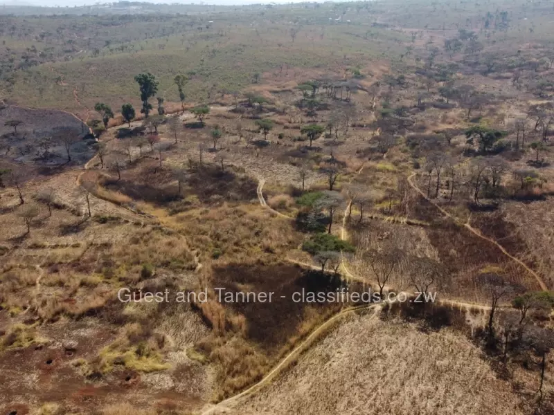 Glen Forest - Stands & Residential Land