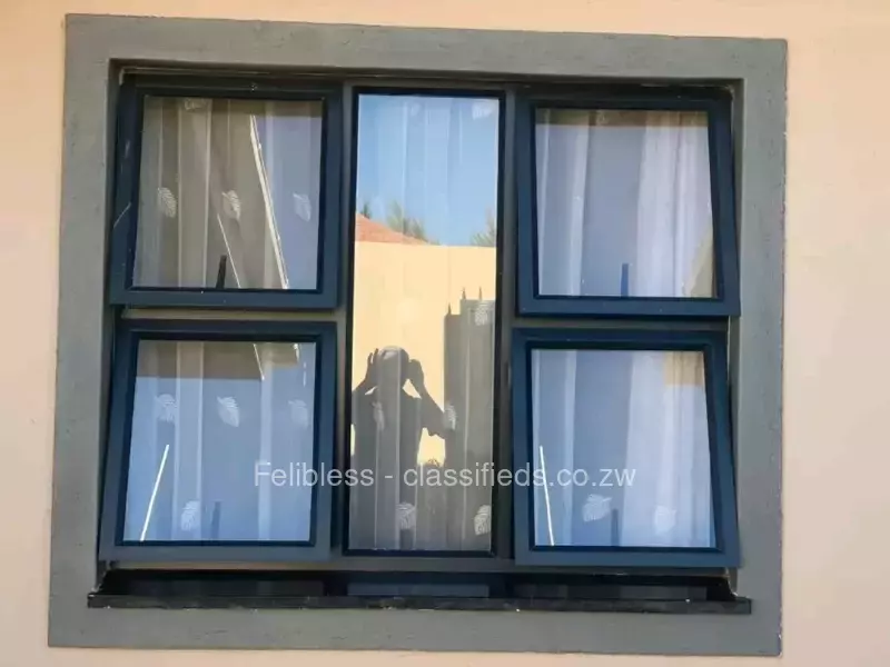 Aluminum windows