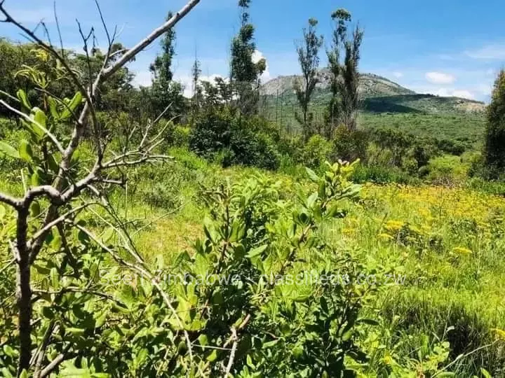 Nyanga - Farm & Agricultural Land