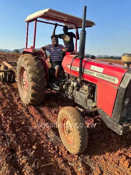 Massey ferguson MF 290 1989