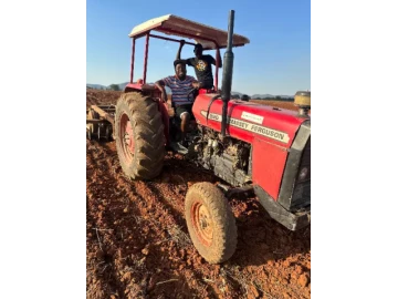 Massey ferguson MF 290 1989